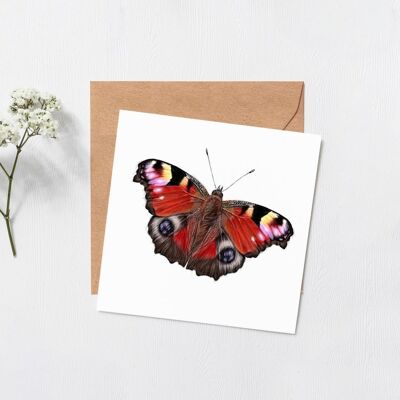 Carte papillon - illustration scientifique - carte animal - carte de voeux générale - joyeux anniversaire - meilleurs voeux - penser à toi - vide à l'intérieur (786964606)