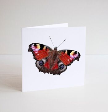 Carte papillon - illustration scientifique - carte animal - carte de voeux générale - joyeux anniversaire - meilleurs voeux - penser à toi - vide à l'intérieur (786964606) 2