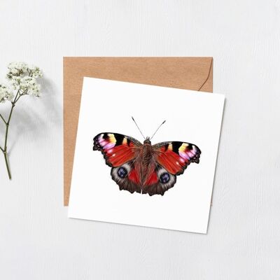 Tarjeta de mariposa - ilustración científica - tarjeta animal - tarjeta de felicitación general - feliz cumpleaños - mejores deseos - pensando en ti - interior en blanco