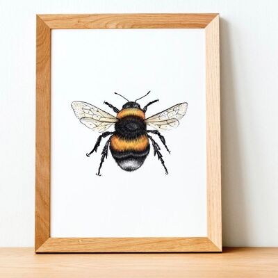 Bumble Bee Print - Peinture - illustration scientifique - art animalier - abeille - dessin animal - Oeuvre - cadeaux pour elle - imprimé animal - A5