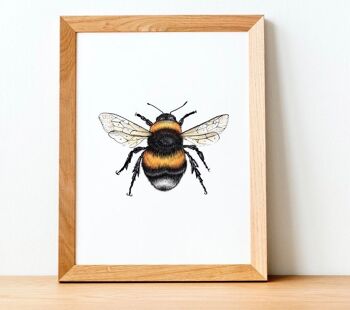 Bumble Bee Print - Peinture - illustration scientifique - art animalier - abeille - dessin animal - Oeuvre - cadeaux pour elle - imprimé animal - A5 1