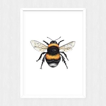 Bumble Bee Print - Peinture - illustration scientifique - art animalier - abeille - dessin animal - Oeuvre - cadeaux pour elle - imprimé animal - A5 2