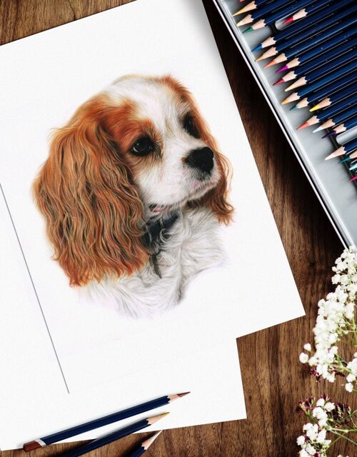 Custom pet portraits - Pet art - Personalised - personalised gift - colour pencil art - pets - custom pet portrait - multiple sizes - A4 - two subjects