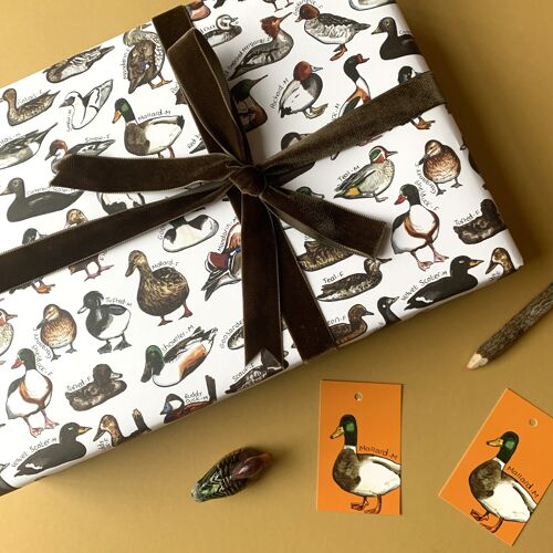 Ducks illustrated wrapping paper sheets