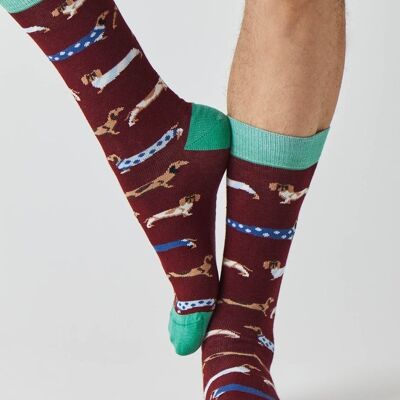 BePets Burgundy - 100% Organic Cotton Socks