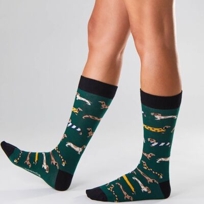 BePets Green – Socken aus 100 % Bio-Baumwolle