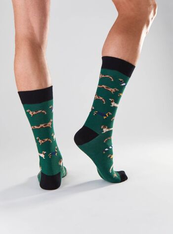 BePets Vert - Chaussettes 100% Coton Biologique 5