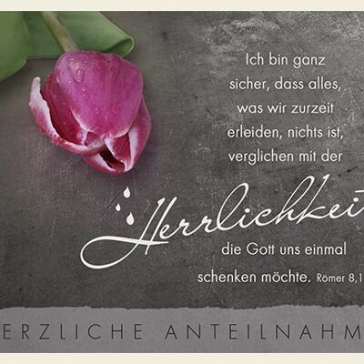 Doppelkarte - Herzl. Anteilnahme – Herrlichkeit (Tulpe)