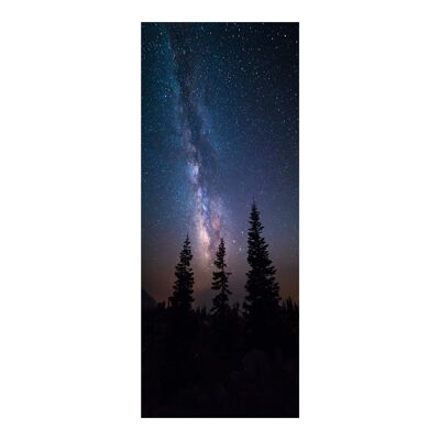 The Milky Way in the Galaxy Door Sticker Peel & Stick Vinyl Door Wrap Art Décor