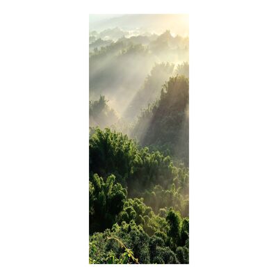 Morning over the Forest Door Sticker Peel & Stick Vinyl Door Wrap Art Décor