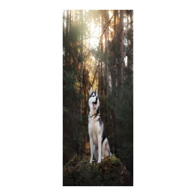 Husky dans la forêt autocollant de porte peler et coller vinyle porte Wrap Art Décor