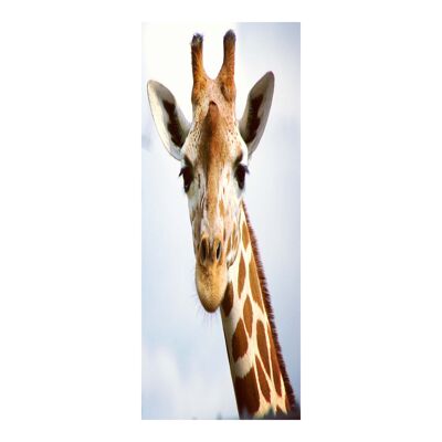 Adesivo per porta con giraffa divertente Peel & Stick Vinyl Door Wrap Art Décor