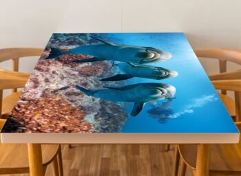 Housse en vinyle laminé Ocean Dolphins Diver autocollante pour bureau et tables 3