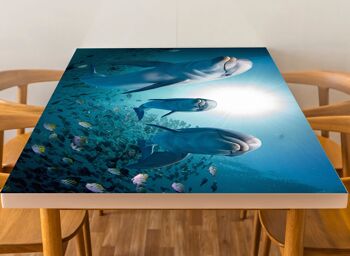 Housse en vinyle laminé Ocean Dolphins Fish autocollante pour bureau et tables 3
