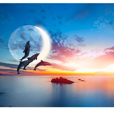 Sunset Ocean Dolphins Laminated Vinyl Cover Self-Adhesive for Desk and Tables