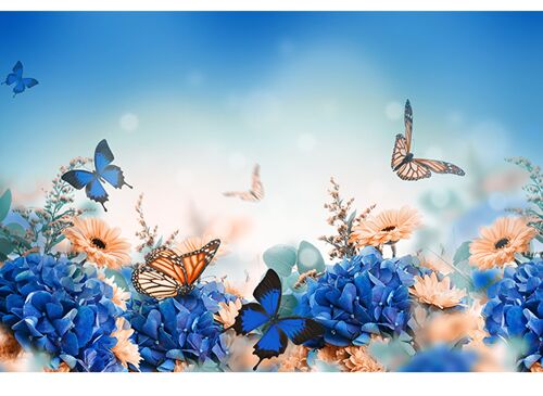 Butterflies Flowers Laminated Vinyl Cover Self-Adhesive for Desk and Tables