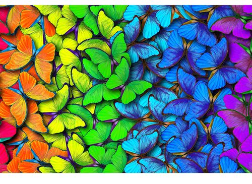 Rainbow Butterflies Laminated Vinyl Cover Self-Adhesive for Desk and Tables