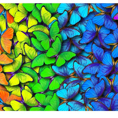 Couverture en vinyle laminé papillons arc-en-ciel auto-adhésif pour bureau et tables