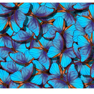 Laminierte Vinylabdeckung mit blauen Schmetterlingen, selbstklebend, für Schreibtisch und Tische