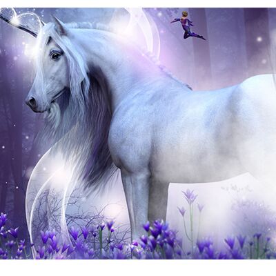 Magic Unicorn Fairies Laminated Vinyl Cover Self-Adhesive for Desk and Tables