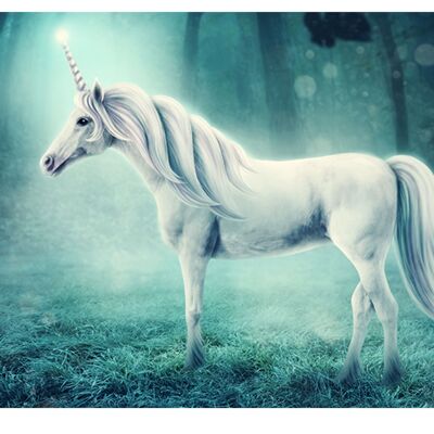 Unicorn in the Forest Laminated Vinyl Cover Self-Adhesive for Desk and Tables