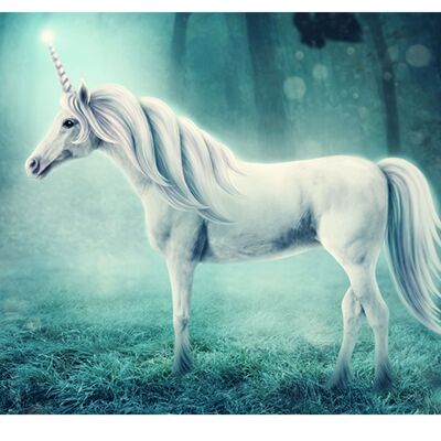 Unicorn in the Forest Laminated Vinyl Cover Self-Adhesive for Desk and Tables