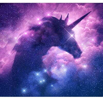 Unicorn in the Stars Laminated Vinyl Cover Self-Adhesive for Desk and Tables