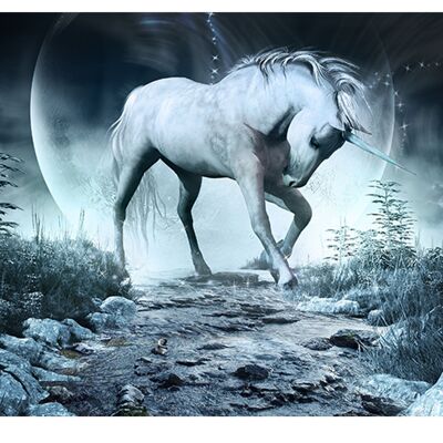 Unicornio Luna Noche Cubierta de Vinilo Laminado Autoadhesivo para Escritorio y Mesas