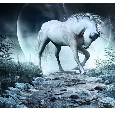 Unicorn Moon Night Laminated Vinyl Cover Self-Adhesive for Desk and Tables