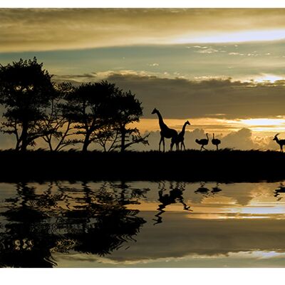 Sunset Africa Animals Laminated Vinyl Cover Self-Adhesive for Desk and Tables