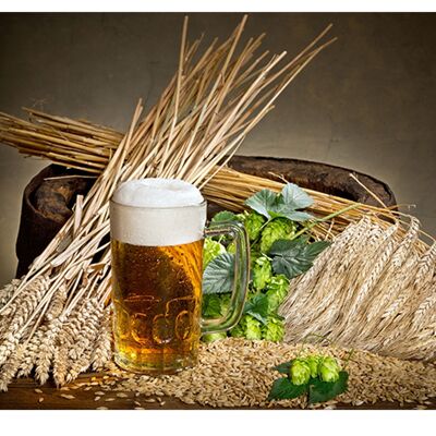 Beer Hops Grain Laminated Vinyl Cover Self-Adhesive for Desk and Tables