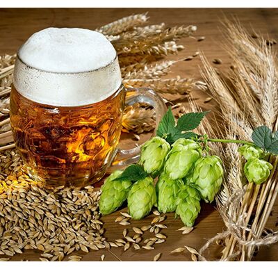 Hops Grain Beer Laminated Vinyl Cover Self-Adhesive for Desk and Tables