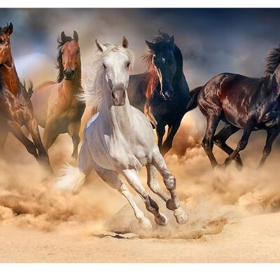 Galloping Horses in Dust Laminated Vinyl Cover Self-Adhesive for Desk and Tables