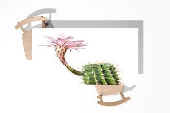 Housse de décoration d'art de bureau en vinyle laminé de cactus en fleurs 3