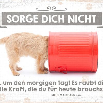 Postkarte - Sorge dich nicht (Hund)