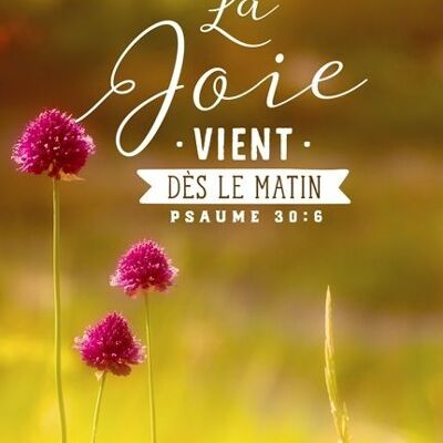 Big Blessing - La joie