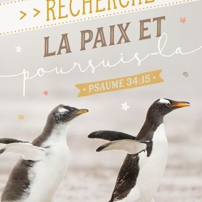 Postkarte - Recherche la paix (Pingouins)