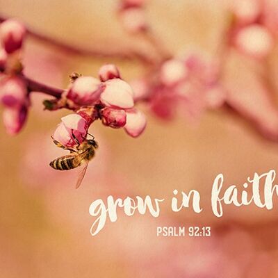 Gran Bendición - Crecer en la fe