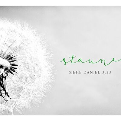 Postkarte Black & White - Staune