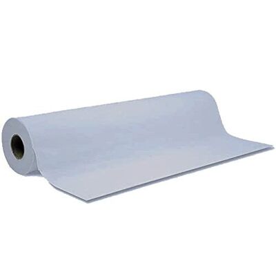 Couch Roll / Hygiene Roll - 1 Case (12 x 20" Rolls) - Blue