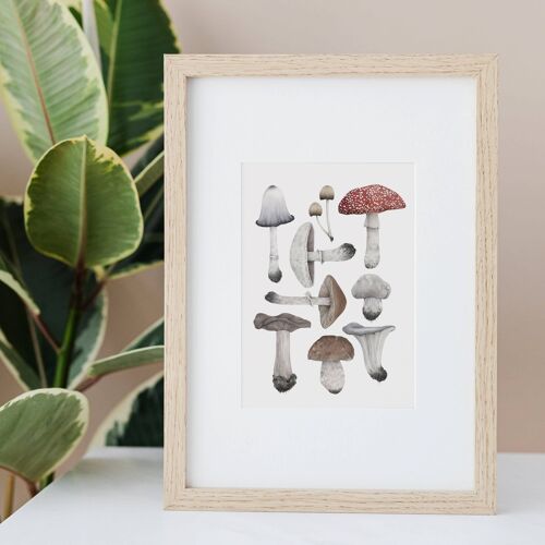 Mushroom Autumn Illustration A4 Print