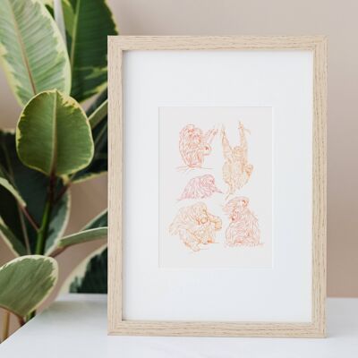 Orangutan Sketches Print