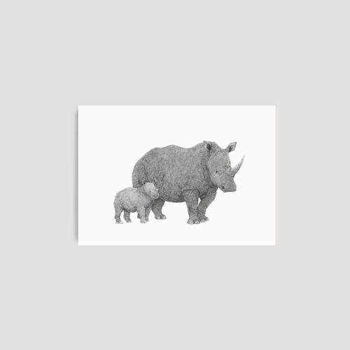Rhino Mother & Baby A4 Print