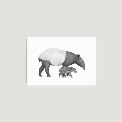 Tapir-Mutter & Baby-A4-Druck