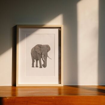 Impression A4 d'éléphant d'Afrique 3
