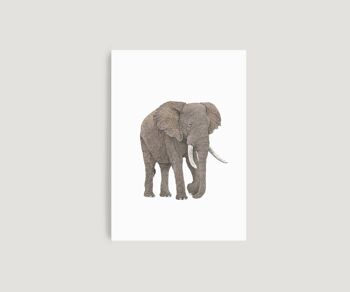 Impression A4 d'éléphant d'Afrique 4