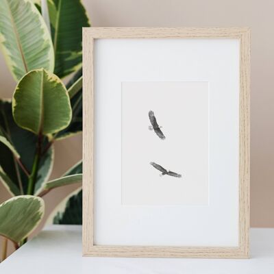 Bald Eagles A4 Print