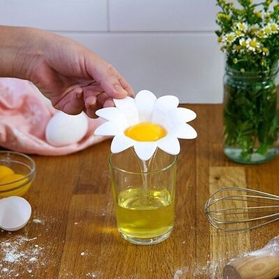 Separador de huevos de margarita | Separador de huevos de flores