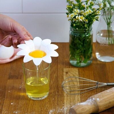 Separador de huevos de margarita | Separador de huevos de flores