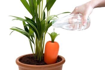 Care-it arrosage pour pots de fleurs 1